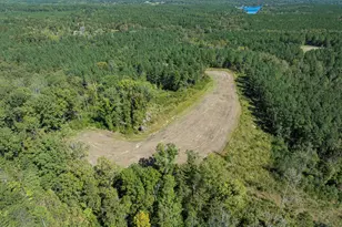 785 Glennie Irvin Rd, Semora, NC 27343 - Photo 83