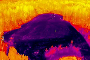 785 Glennie Irvin Rd, Semora, NC 27343 - Photo 93