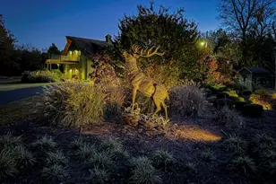 785 Glennie Irvin Rd, Semora, NC 27343 - Photo 65