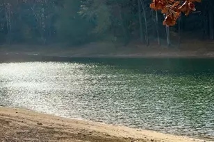 80 White Deer Ln, Henderson, NC 27537 - Photo 53