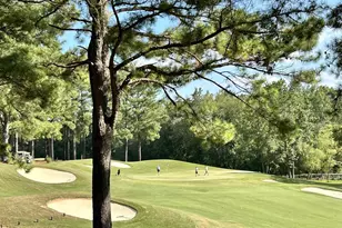 916 Shasta Daisy Dr, Wake Forest, NC 27587 - Photo 49