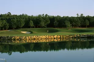 916 Shasta Daisy Dr, Wake Forest, NC 27587 - Photo 51