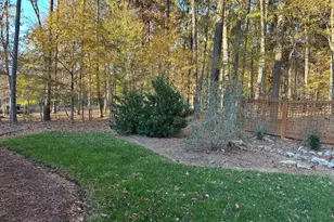 204 Bingham Ridge Dr, Pittsboro, NC 27312 - Photo 41