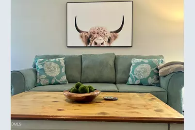 695 W Green Street, Franklinton, NC 27525 - Photo 45