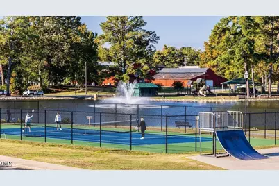 250 Blue Butterfly Drive, Angier, NC 27501 - Photo 39