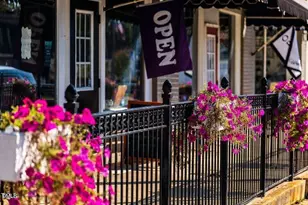 250 Blue Butterfly Dr, Angier, NC 27501 - Photo 27