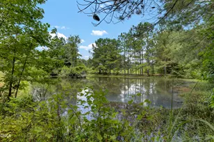 3001 Ebenezer Forrest Rd, Garland, NC 28441 - Photo 19