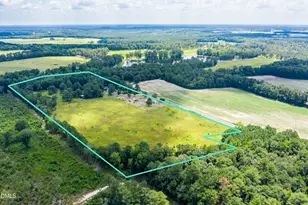 3001 Ebenezer Forrest Rd, Garland, NC 28441 - Photo 23