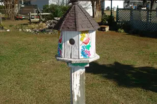 235 Iris Bryant Rd, Erwin, NC 28339 - Photo 67