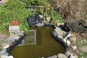 235 Iris Bryant Rd, Erwin, NC 28339 - Photo 69