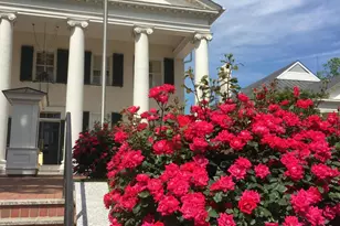 400 Skipwith Rd, Boydton, VA 23917 - Photo 7