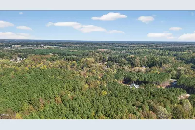 0 Andrew Denton Road, Louisburg, NC 27549 - Photo 9