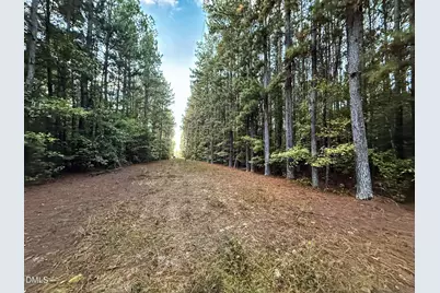0 Andrew Denton Road, Louisburg, NC 27549 - Photo 23