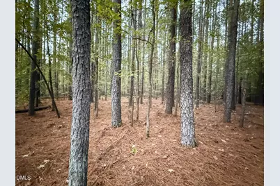 0 Andrew Denton Road, Louisburg, NC 27549 - Photo 25