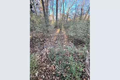 1715 Fire Depart Road, Clayton, NC 27527 - Photo 3