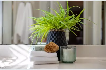 102 Rose Valley Woods Drive, Cary, NC 27513 - Photo 33