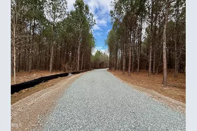 Lot D Wolf Tree Way, Efland, NC 27243 - Photo 19