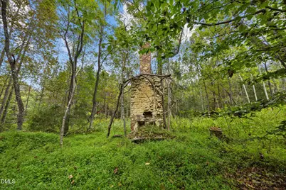 Lot D Wolf Tree Way, Efland, NC 27243 - Photo 9