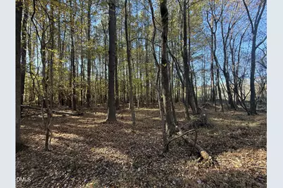 494 Bunn Elementary School Road, Bunn, NC 27508 - Photo 13
