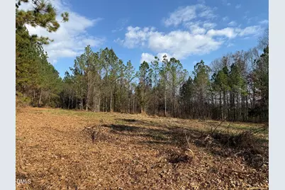 Lot 1 Wolf Tree Way, Efland, NC 27243 - Photo 7
