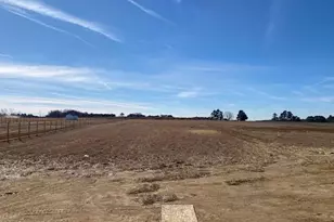 5495 Finch Rd, Bailey, NC 27807 - Photo 3