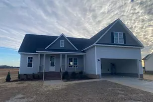 5495 Finch Rd, Bailey, NC 27807 - Photo 1