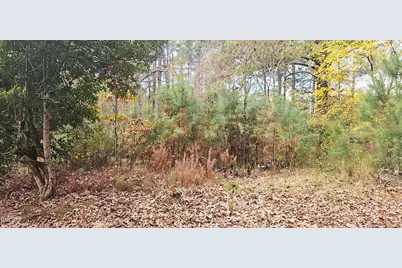 6026 Colonial Drive, Raleigh, NC 27603 - Photo 5