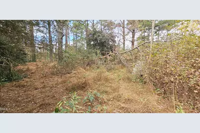 6026 Colonial Drive, Raleigh, NC 27603 - Photo 11