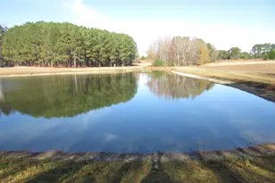 120 Furney Pearce Rd, Zebulon, NC 27597 - Photo 33