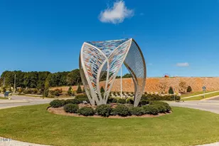 17 Plenty Ct, Pittsboro, NC 27312 - Photo 45