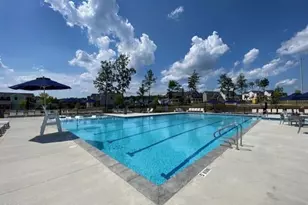 17 Plenty Ct, Pittsboro, NC 27312 - Photo 53