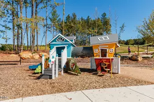 17 Plenty Ct, Pittsboro, NC 27312 - Photo 51