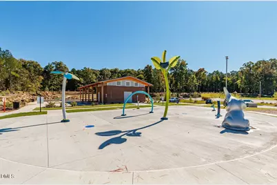 17 Plenty Court, Pittsboro, NC 27312 - Photo 55