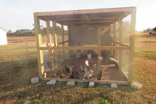 520 Lees Chapel Church Rd, Plain View, NC 28334 - Photo 19