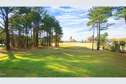 311 Inkster Cove, Raleigh, NC 27603 - Photo 39