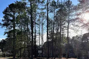 101 Stockett Ct, Garner, NC 27529 - Photo 41