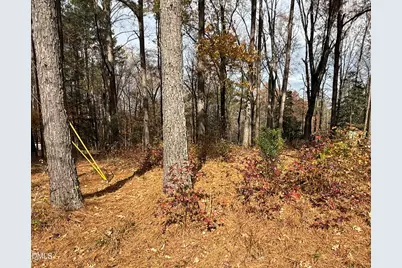 131 Catoose Drive, Louisburg, NC 27549 - Photo 3