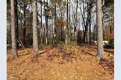 131 Catoose Drive, Louisburg, NC 27549 - Photo 1