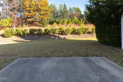 209 Mayfield Drive, Apex, NC 27539 - Photo 39