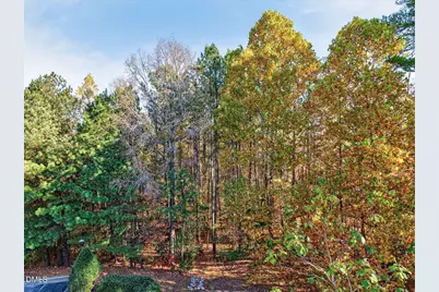 232 Eyam Hall Lane, Apex, NC 27502 - Photo 17