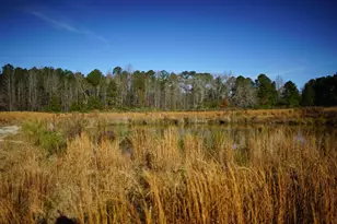 111 Old Wagon Ln, Sanford, NC 27332 - Photo 1