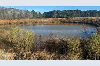 111 Old Wagon Lane, Sanford, NC 27332 - Photo 15