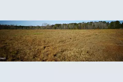 111 Old Wagon Lane, Sanford, NC 27332 - Photo 9