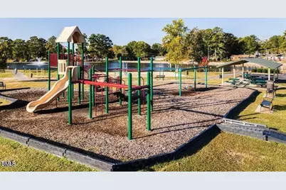 258 Blue Butterfly Drive, Angier, NC 27501 - Photo 37