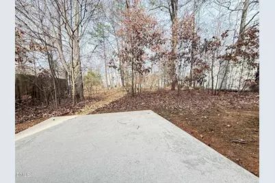 205 Trayesan Drive, Holly Springs, NC 27540 - Photo 27