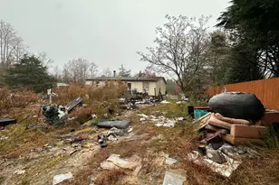 1021 Panseyhill Ln, Willow Springs, NC 27592 - Photo 5