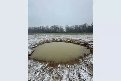 553 Ollie Road, Kenly, NC 27542 - Photo 21