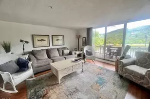 1040 Sugar Mountain Dr, Sugar Mountain, NC 28604 - Photo 9