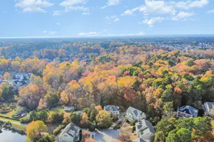 321 Belles Landing Ct, Cary, NC 27519 - Photo 53