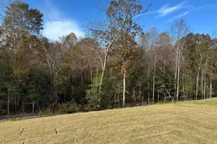 1021 Red Finch Wy, Angier, NC 27501 - Photo 3